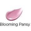 Blooming Pansy