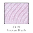EX13