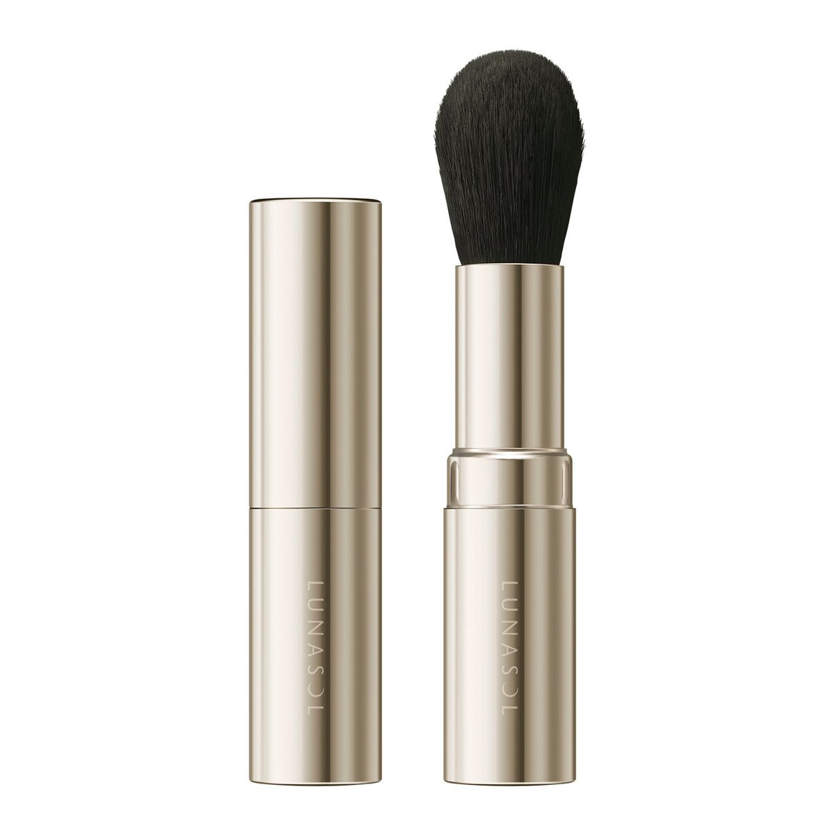 Face Brush