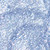 08 Frosted Lagoon