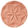 07 Nudie Coral