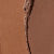 Cinnamon Roll