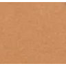 Tan  Deep Translucent