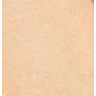 Medium  Tan Translucent