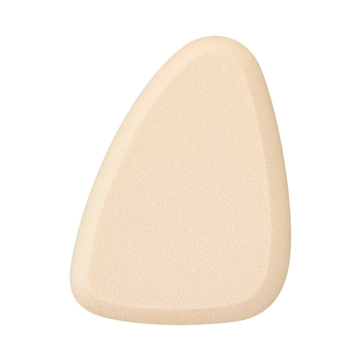 Foundation Sponge