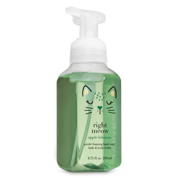 Apple Hibiscus : Gentle Foaming Hand Soap