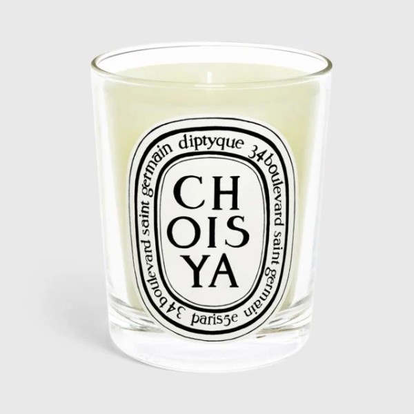 Choisya candle