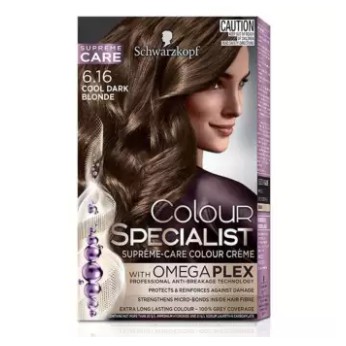 6.16 Cool Dark Blonde