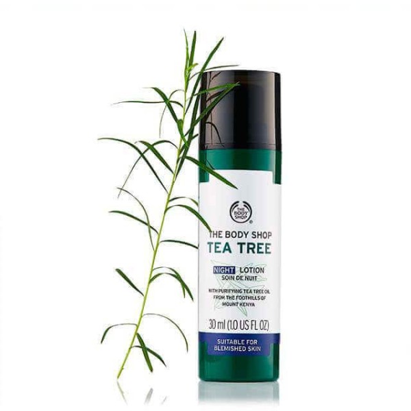 Tea Tree Night Lotion