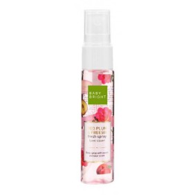 RED PLUM FREESIA FRESH SPRAY