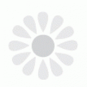 Sun Care Spray Oil SPF15