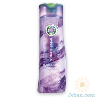 Reconditioning Shampoo