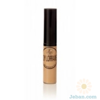 Ultimate Brush-on Concealer
