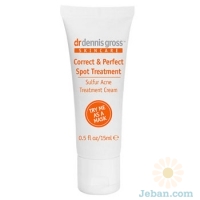 Correct & Perfect Spot Treatment