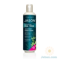 Tea Tree Scalp Normalizing Conditioner