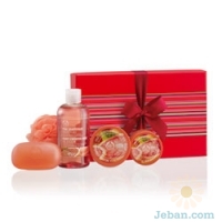 Pink Grapefruit Medium Set  
