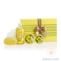 Sweet Lemon Medium Set  