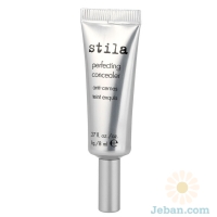 Perfecting Concealer