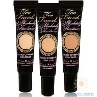 Absolutely Flawless Flexible Coverage Concealer  