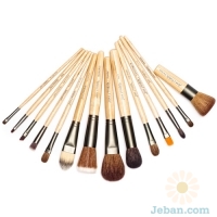 Professional Brush Set