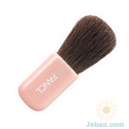 Cheek and Highlight Color Brush