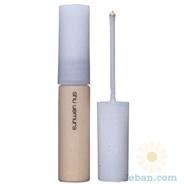 Pro Spot Concealer