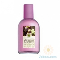 Blackberry Eau de toilette