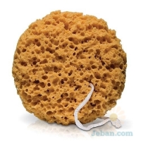 Body Sponge