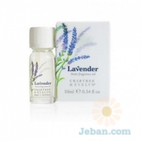 Lavender : Home Fragrance Oil