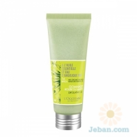 Angelica : Exfoliating Gel