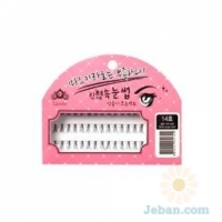 False Eyelashes : 14