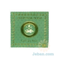 Natural Balance Soap : Care Spa Mint