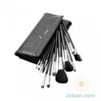 Professional Brush Set