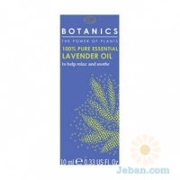 Aromatherapy Pure Essential Oil - Lavender