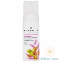 All Bright : Cleansing Foam Wash