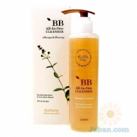 BB All In One Cleanser