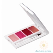 Lip Color Perfect Pro