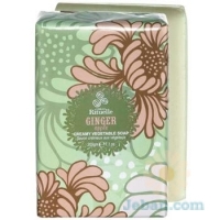 Ginger Apple : Creamy Vegetable Soap
