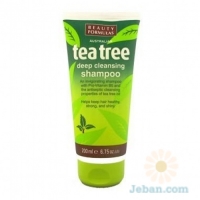 Tea Tree : Deep Cleansing Shampoo
