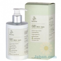 Lemongrass, Lemon Myrtle, Grapefruit & Eucalyptus : Organic Hand & Body Wash