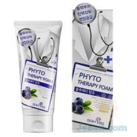 Phyto Therapy : Blueberry Foam Cleansing