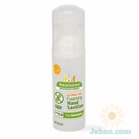 Alcohol Free Foaming Hand Sanitizer