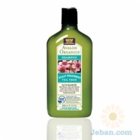 Tea Tree : Scalp Treatment Shampoo