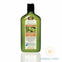 Olive & Grape Seed : Extra Moisturizing Fragrance Free Shampoo