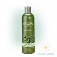 Tea Tree And Blue Cypress Soothing : Shampoo