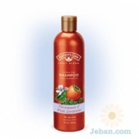 Persimmon And Rose Geranium Color Protecting : Shampoo