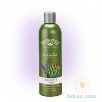 Lavender And Aloe Nourishing : Shampoo