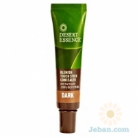Blemish Touch Stick Concealer