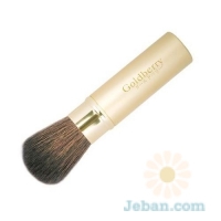 Precision Face Retractable Brush