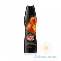 Foamburst : Spicy Ginger & Orange Luxurious Body Wash